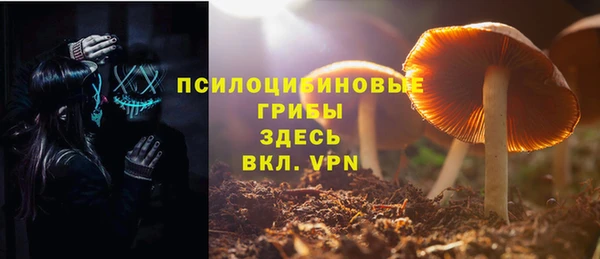 не бодяженный Михайлов