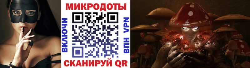 Псилоцибиновые грибы Psilocybe  Камышин 